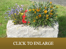 planters and flower pots